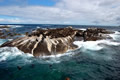 Seal Island, Hermanus, &copy;Anonymous